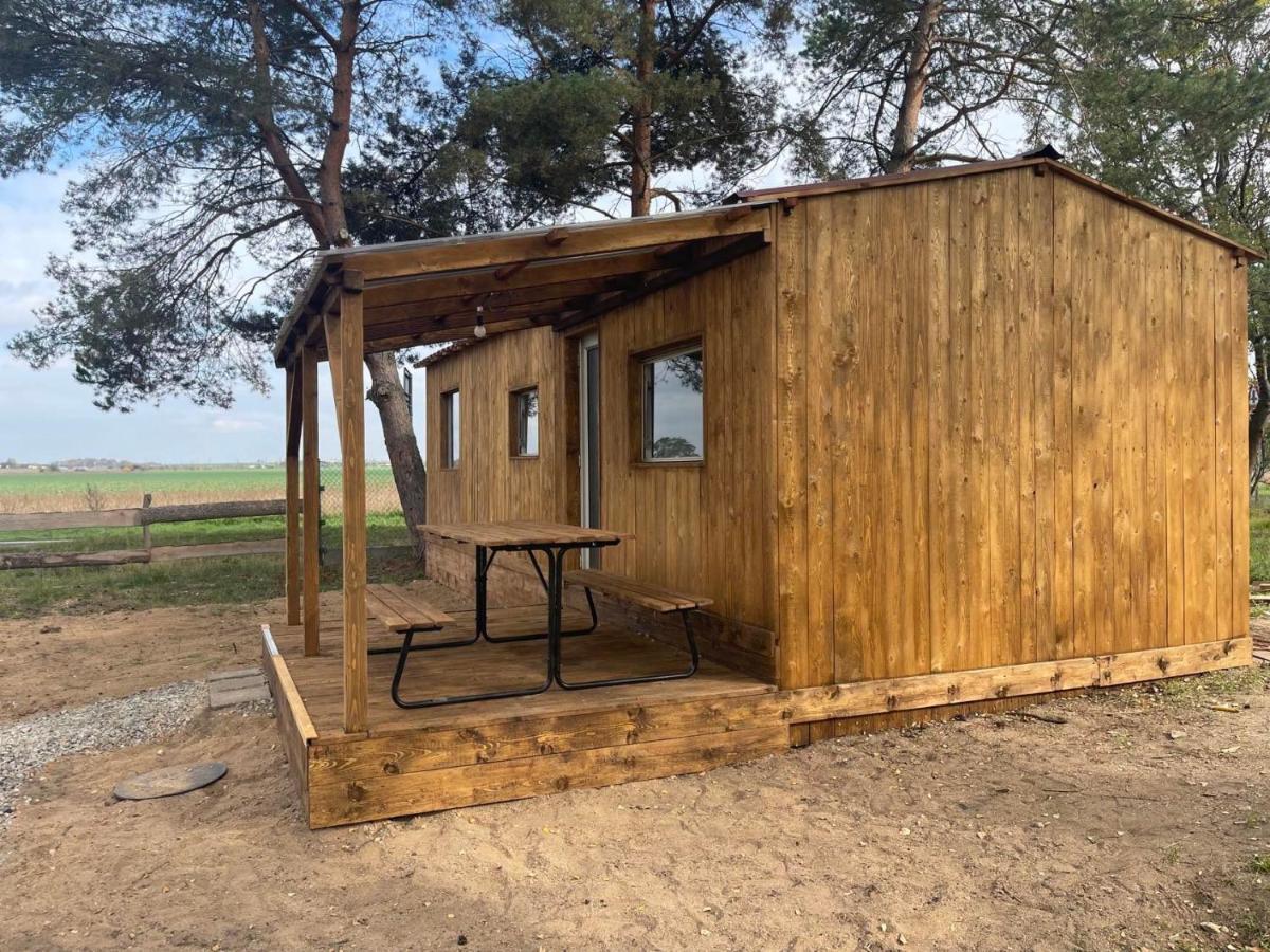 Pronajem Dreveneho Mobilheimu Stit Apartment Chlumec nad Cidlinou Exterior foto
